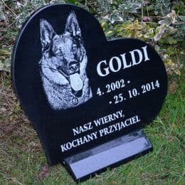 Pies Goldi wizerunek i napis na sercu