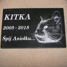 Kot kitka -pomnik