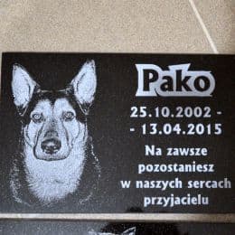 Pomnik psa Pako