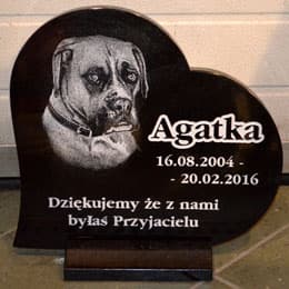 Pomnik psa Agatka 