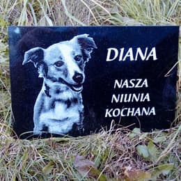 Pies Diana