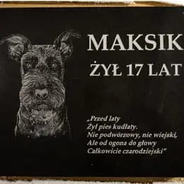 Nagrobek psa maksik