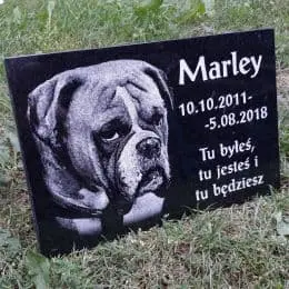 Grawer na płycie granitowej
