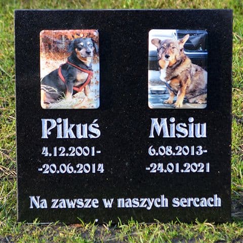 Nagrobek dla dwóch psów ze zdjęciami kolorowymi