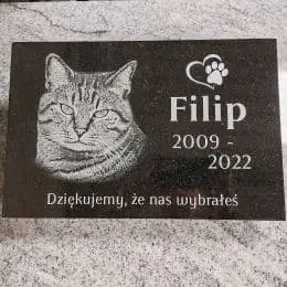 Nagrobek dla kota Filipa
