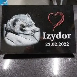 Łasica Izydor