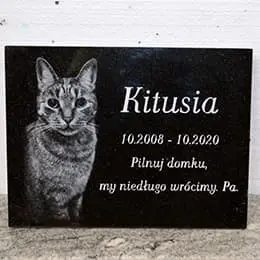 Nagrobek dla kota Kitusia