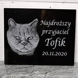 Nagrobek dla kota Tofik