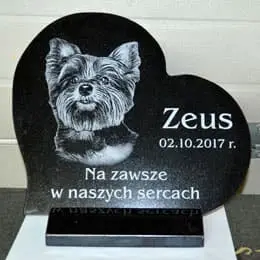 Płyta z porcelanowym zdjęciem