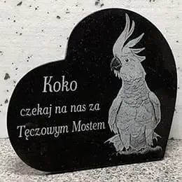 Nagrobek dla papugi Koko