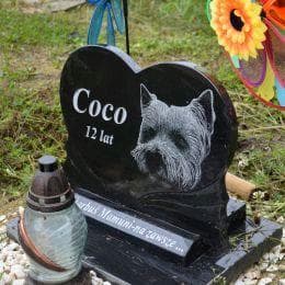Nagrobek dla psa na cmentarzu