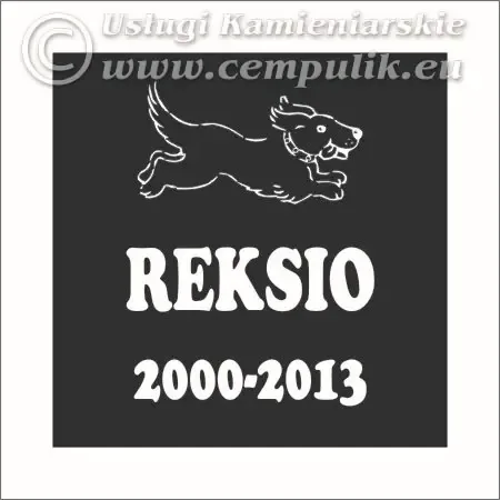 Engraved Granite Memorial Plaque — Bone Design (Pattern P6)