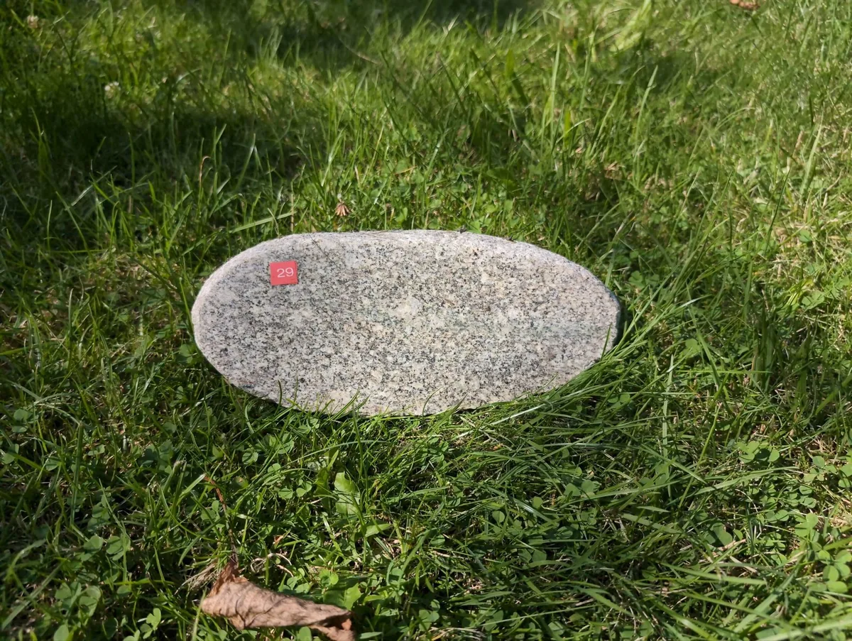 #29 Memorial Boulder – Natural Granite Headstone for a Dog