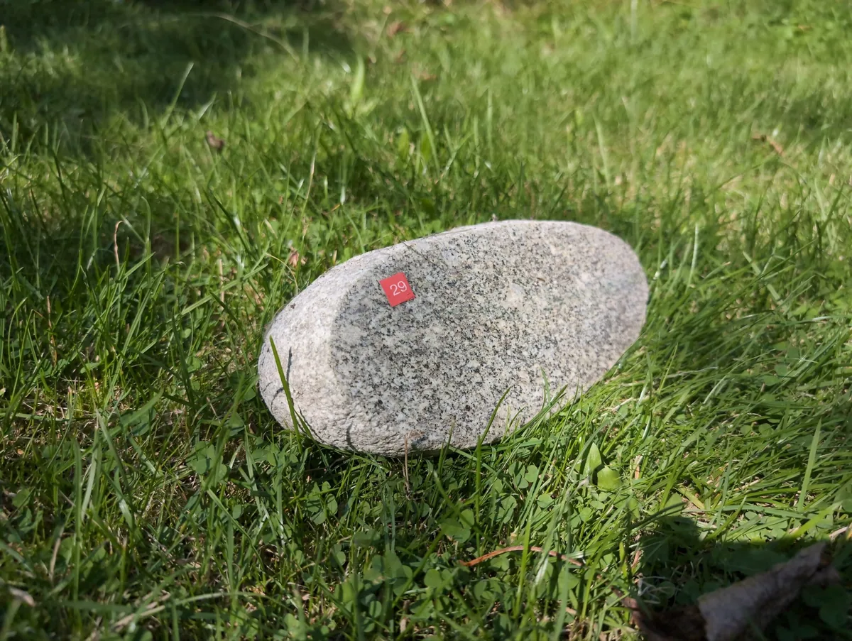 #29 Gedenkstein – Granitfindling als Hunde-Grabstein