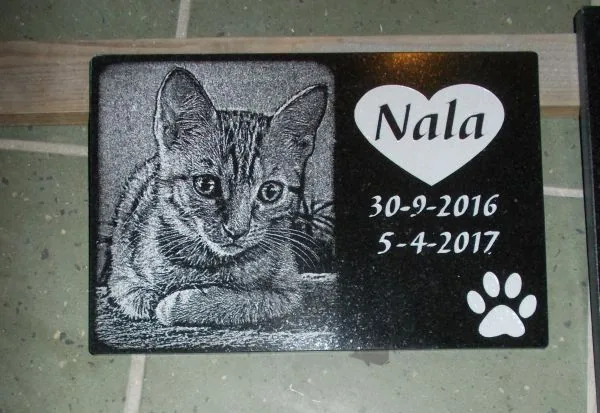 Płyta Nagrobna z Wizerunkiem i Napisem 35x25cm