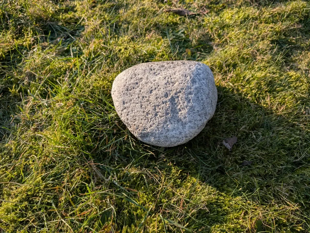 #45 Głaz Pamiątkowy – Naturalny Pomnik dla Psa