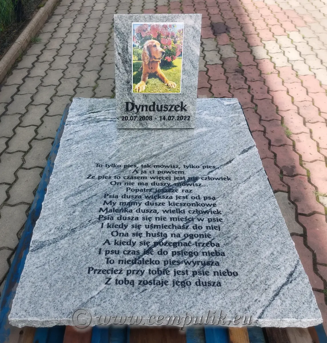 Duży Nagrobek dla Zwierzęcia – Granitowy Pomnik dla Psa/Kota