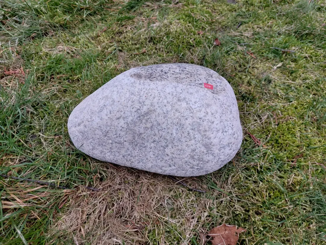 Głaz Narzutowy #14 – Naturalny Pomnik na Leśny Cmentarz (Granit)