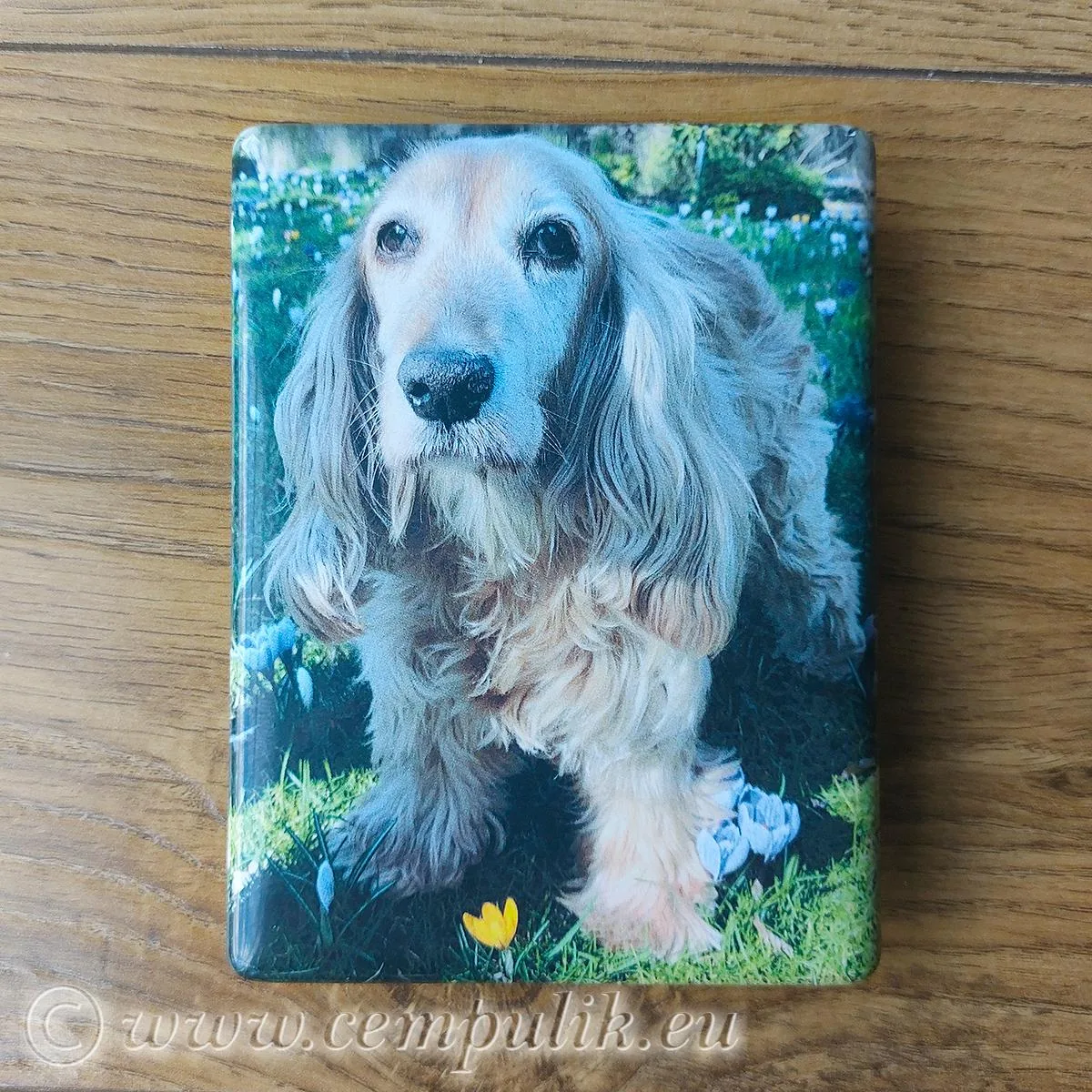 Porcelænsbillede til Gravsten 9x12 cm – Premium Fotokeramik