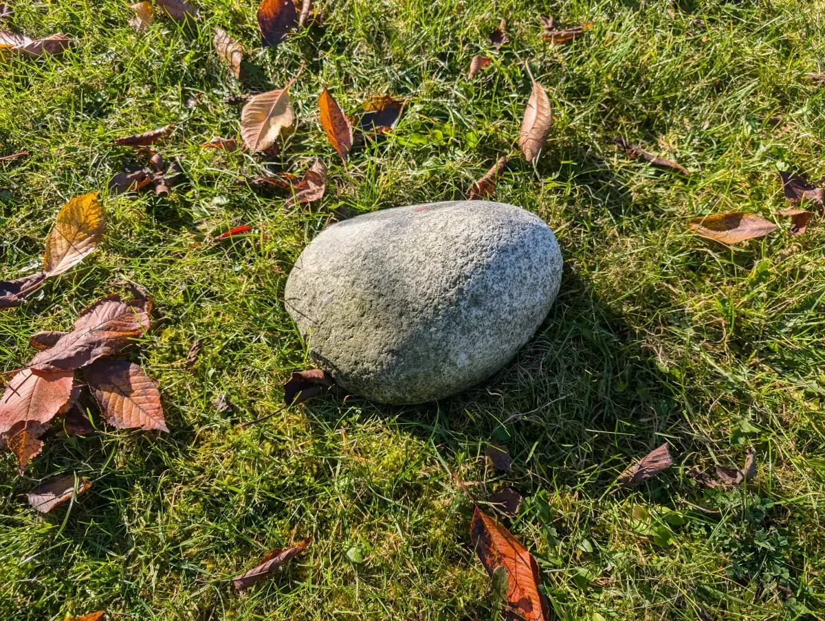 #20 Pet Memorial Boulder – Natural Granite Monument