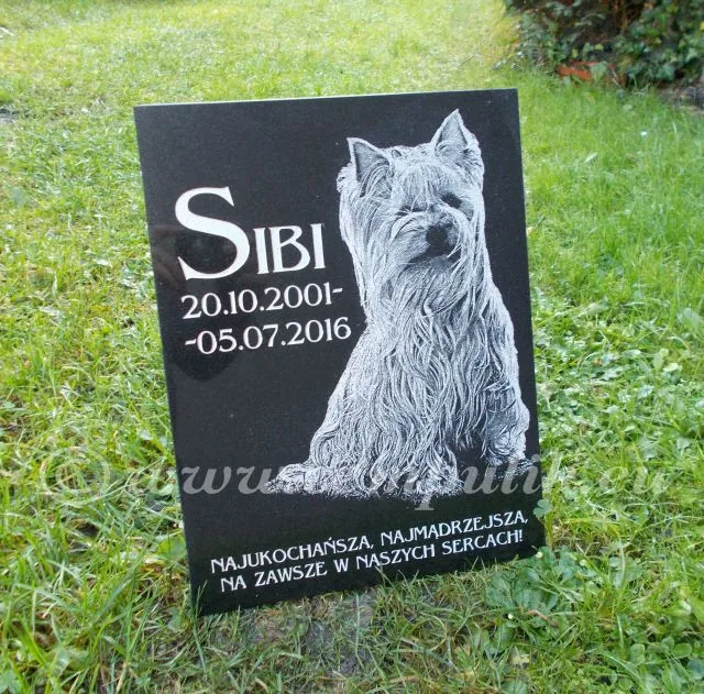 Grabstein für Yorkshire Terrier — Granit Gedenkstein für kleinen Hund (Groß)