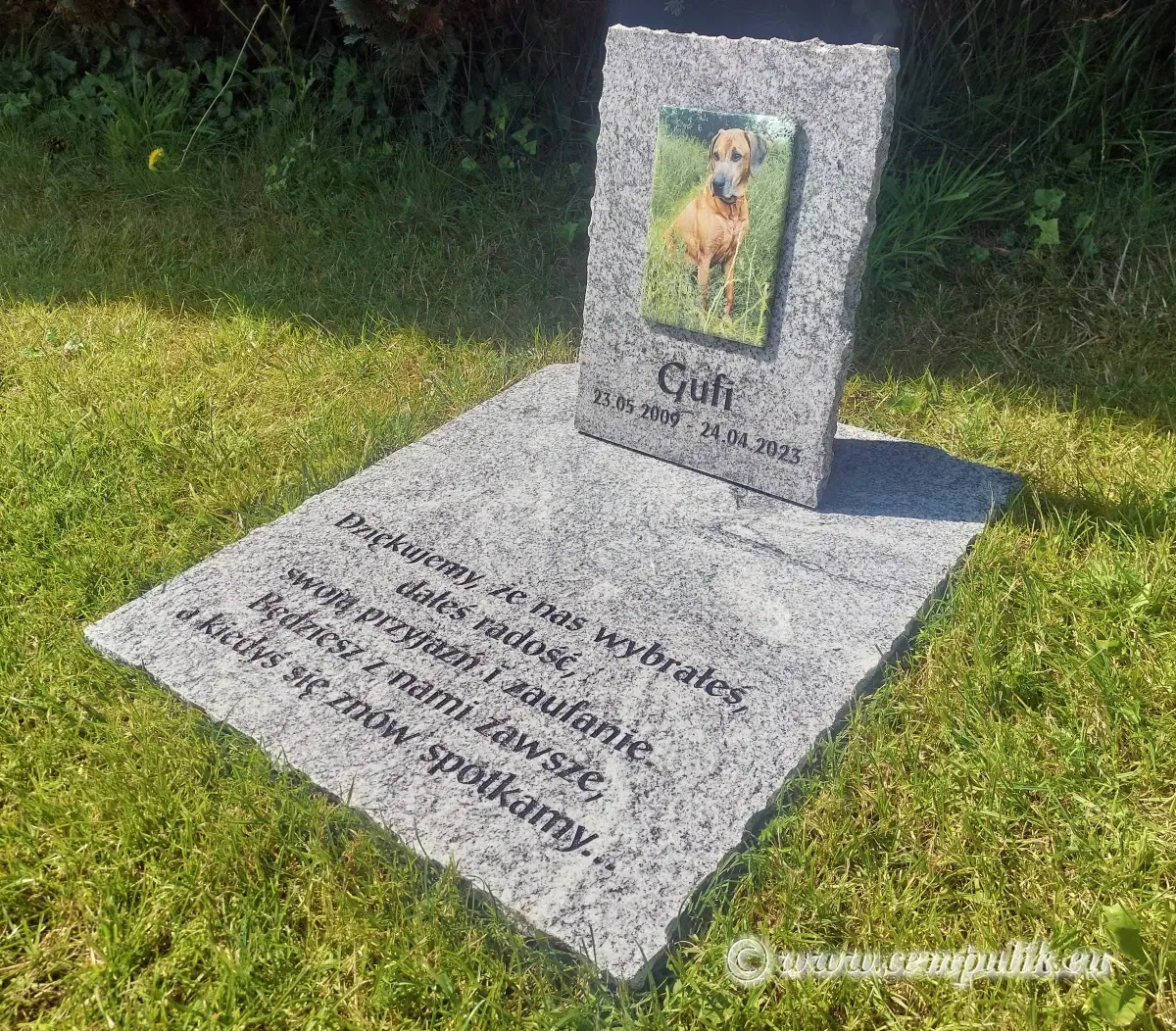 Stort Gravsten til Kæledyr – Granit Mindesmærke for Hund eller Kat