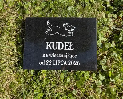 Engraved Granite Memorial Plaque — Bone Design (Pattern P6)