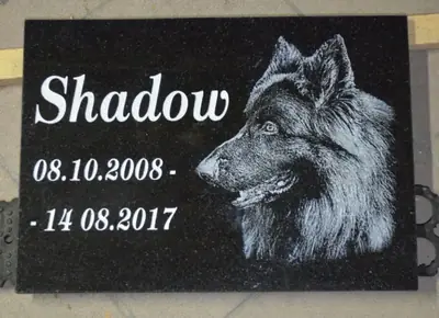 Płyta Nagrobna z Wizerunkiem i Napisem 35x25cm