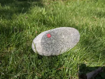 #29 Głaz Pamiątkowy – Naturalny Pomnik dla Psa