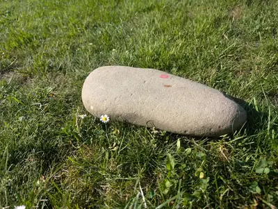 #22 Głaz Pamiątkowy – Naturalny Pomnik dla Psa
