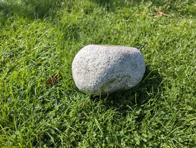 #35 Głaz Pamiątkowy – Naturalny Pomnik dla Psa