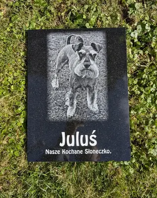 Mindesten til Kæledyr - Graveret portræt af din hund eller kat