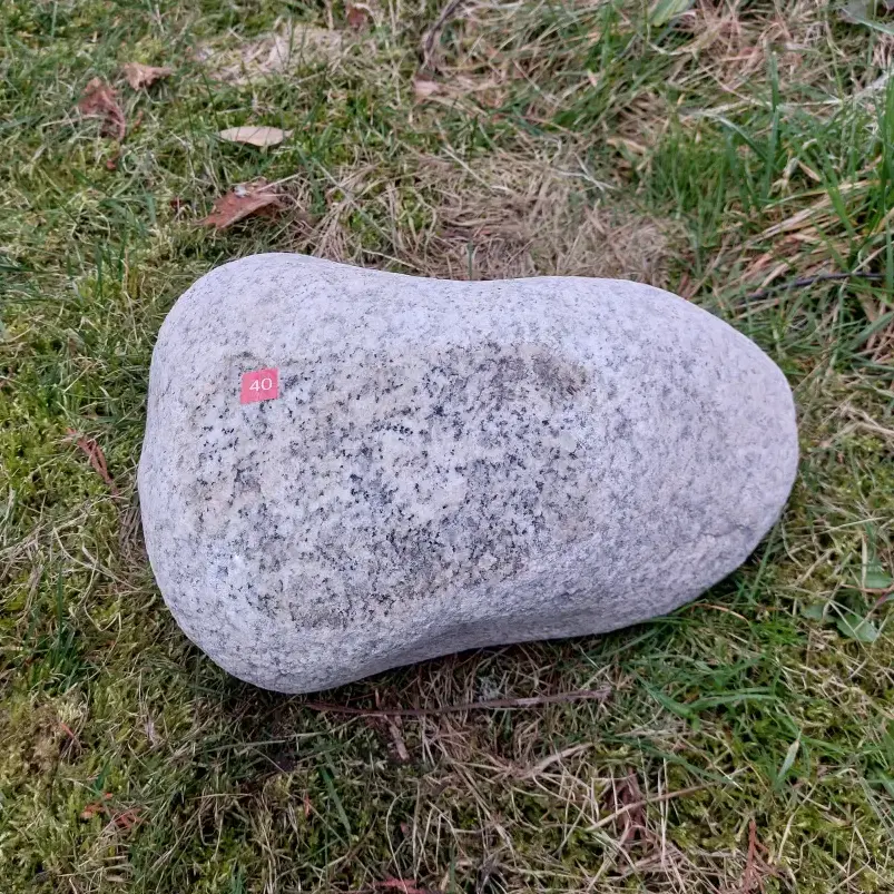 Natural Boulder Memorial #14 – Unique Stone for Woodland Burials