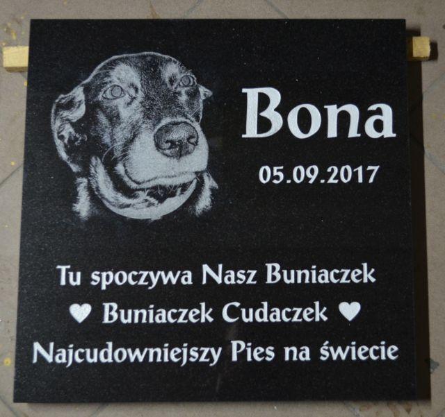 Tablica Nagrobna dla Psa/Kota z Grawerowanym Zdjęciem 30x30 cm — Czarny Granit