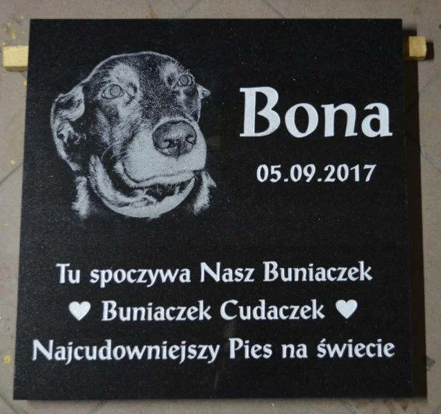 Tablica Nagrobna dla Psa/Kota z Grawerowanym Zdjęciem 30x30 cm — Czarny Granit