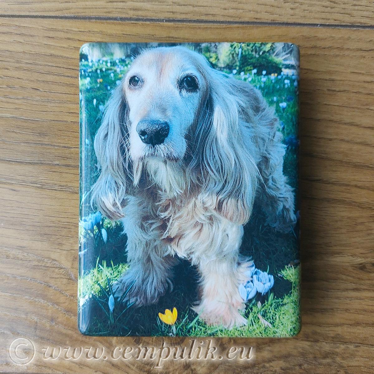 Zdjęcie Porcelanowe na Pomnik 9x12 cm – Fotoceramika Premium