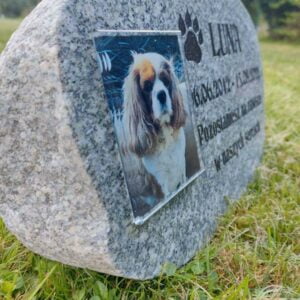 Zdjęcie wypalone w fotokrysztale 9x12 cm