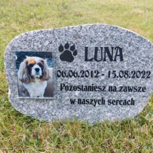 Zdjęcie wypalone w fotokrysztale 9x12 cm