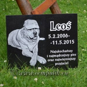 Płyta z wizerunkiem i napisem 35x25