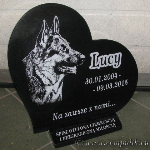 serce dla psa wilczura Lucy