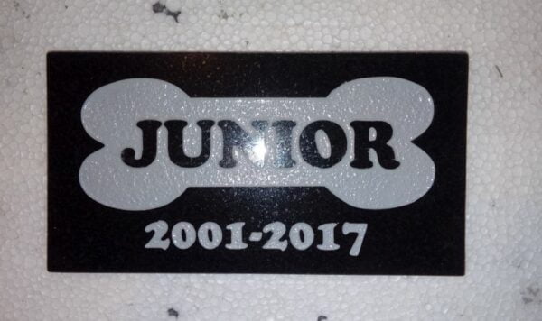 Płyta granitowa dla psa o imieniu Junior