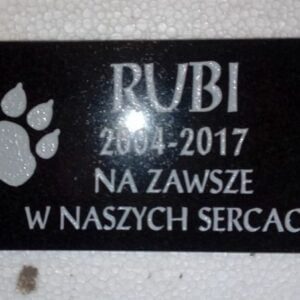 Płyta nagrobna dla zwierzaka (wzór p8) - z napisem i łapą