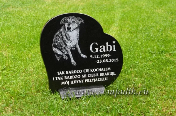 serce dla psa Gabi