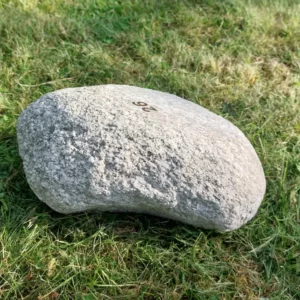 #26 Średni Głaz - pomnik dla psa lub kota