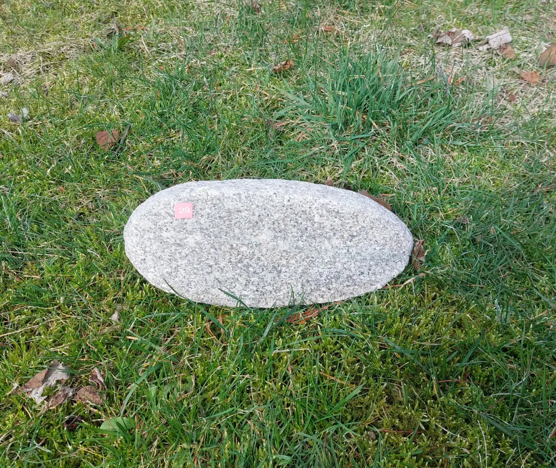 #29 Głaz - pomnik dla psa lub kota