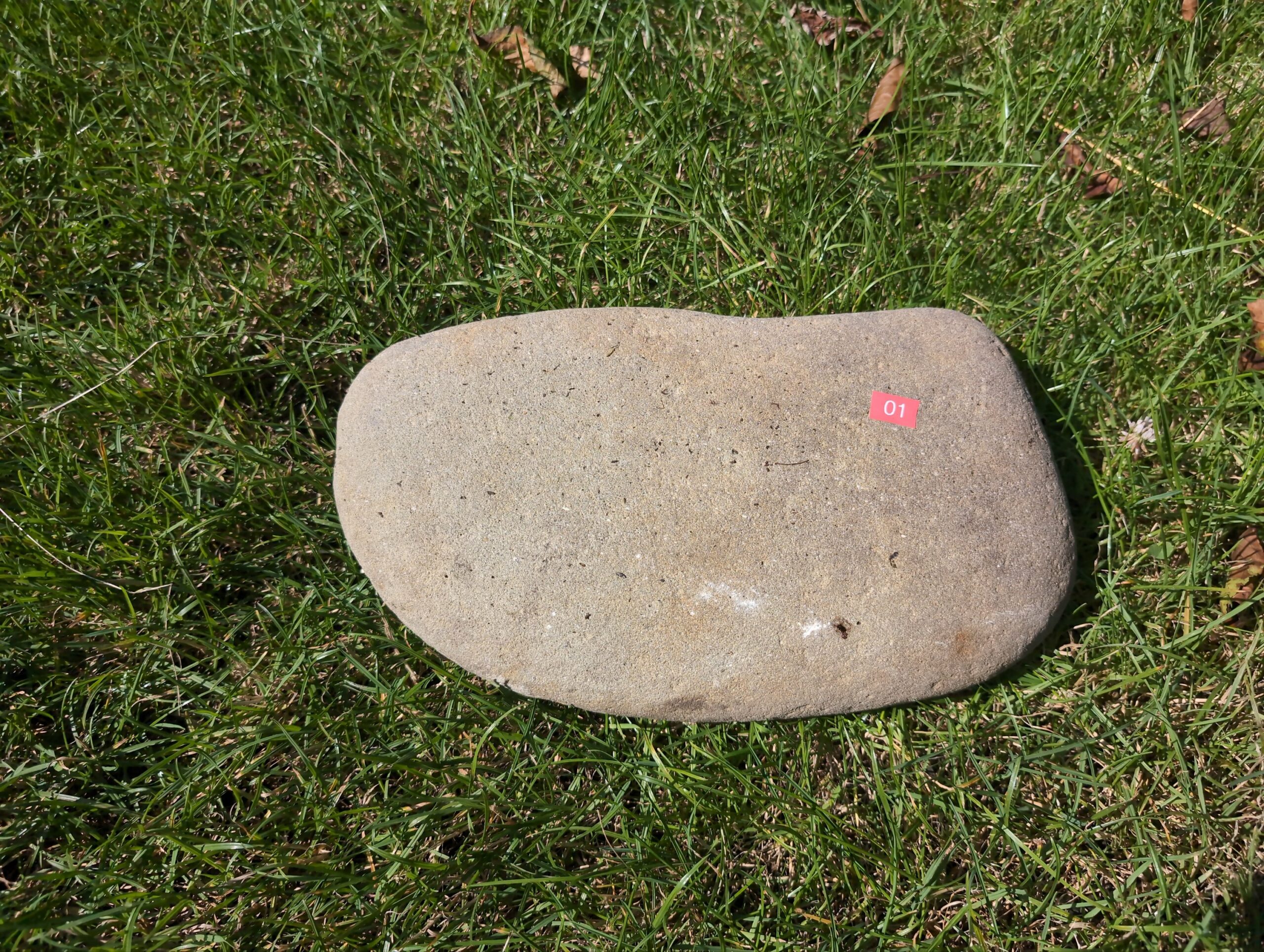 #01 Średni Głaz - pomnik dla psa lub kota