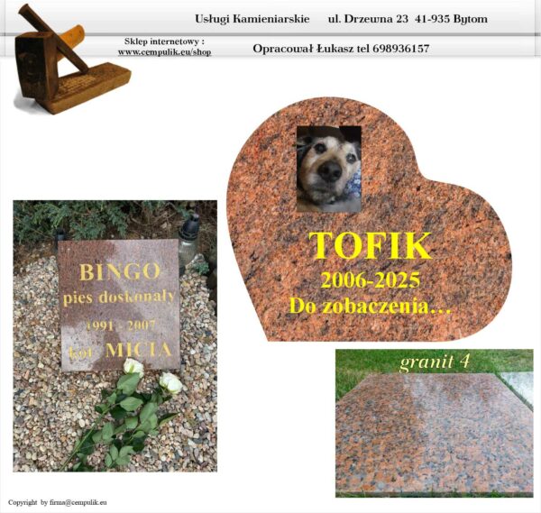 Tofik zgodnie z projektem