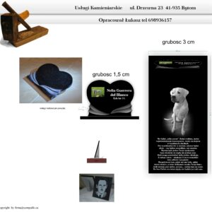 Zgodnie z projektem Nelia