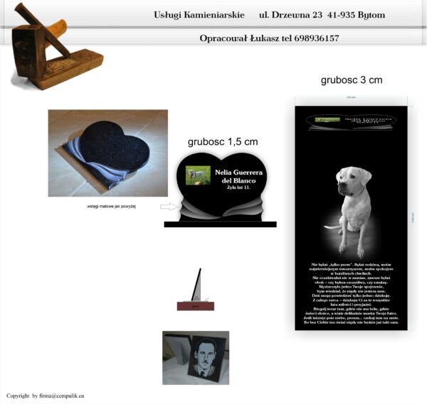 Zgodnie z projektem Nelia