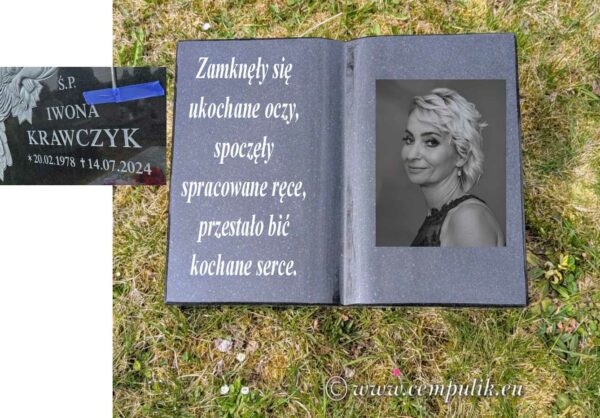 Zgodnie z projektem ksiażka